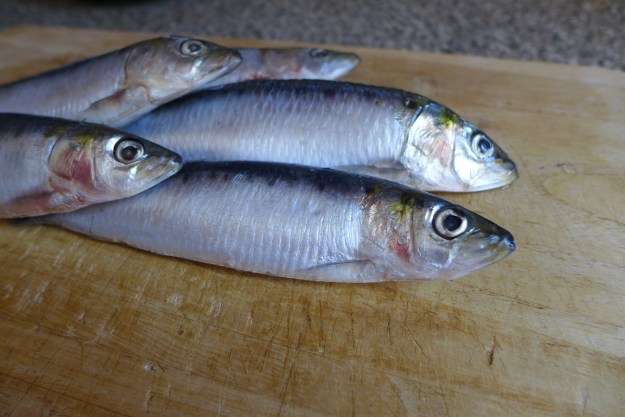 Sardine in Sweet Vinegar Sauce | cooklikejapanese